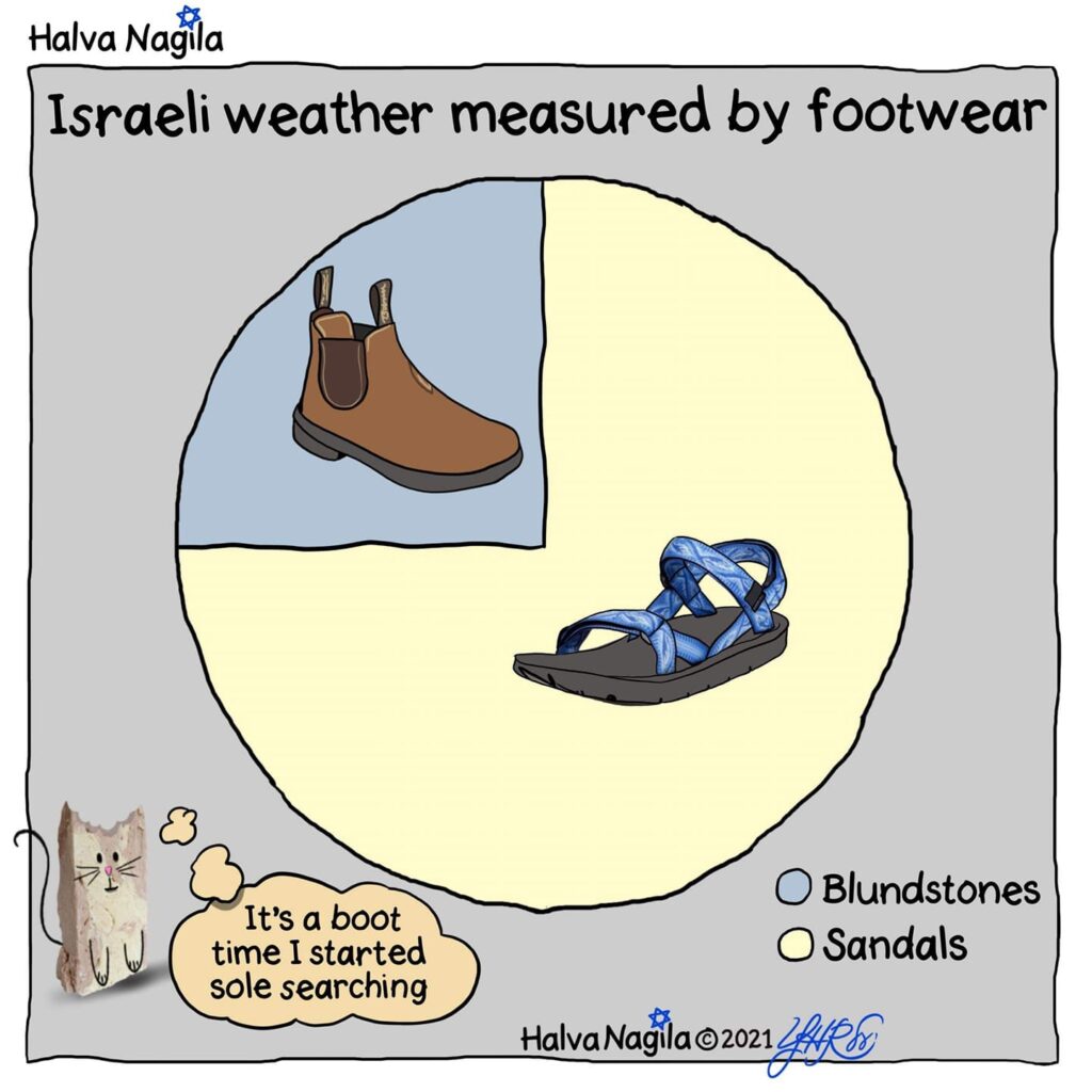 A chart showing that boots are worn 25% of the year, while sandals are worn 75% of the year. Halva Nagila says: it's a boot time I started sole searching.